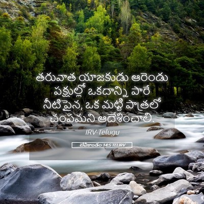 Picture 05 - లేవీకాండం 14:5 TELIRV - తరువాత యాజకుడు - Bible Verse Picture