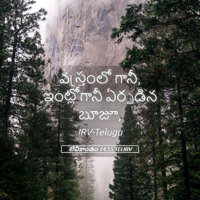 Picture 05 - లేవీకాండం 14:55 TELIRV - వస్త్రంలో గానీ, - Bible Verse Picture