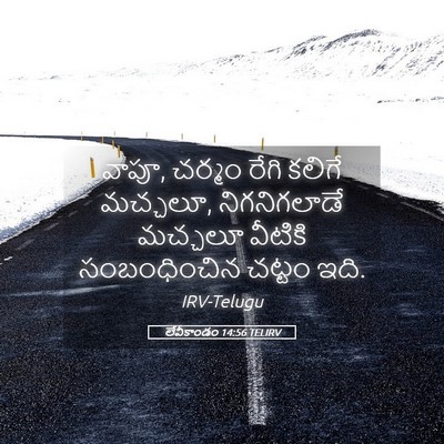 Picture 05 - లేవీకాండం 14:56 TELIRV - వాపూ, చర్మం రేగి - Bible Verse Picture