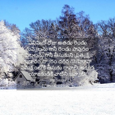 Picture 05 - లేవీకాండం 15:14 TELIRV - ఎనిమిదో రోజు అతడు - Bible Verse Picture