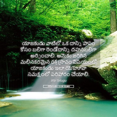 Picture 05 - లేవీకాండం 15:30 TELIRV - యాజకుడు వాటిలో ఒక - Bible Verse Picture