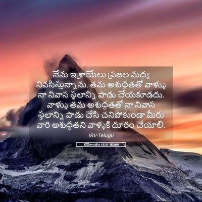 Picture 05 - లేవీకాండం 15:31 TELIRV - నేను ఇశ్రాయేలు - Bible Verse Picture