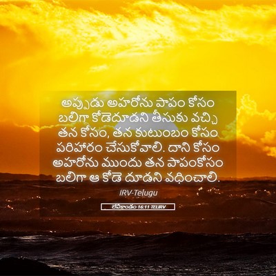 Picture 05 - లేవీకాండం 16:11 TELIRV - అప్పుడు అహరోను - Bible Verse Picture