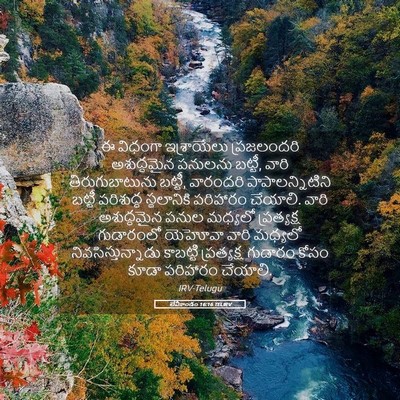 Picture 05 - లేవీకాండం 16:16 TELIRV - ఈ విధంగా - Bible Verse Picture