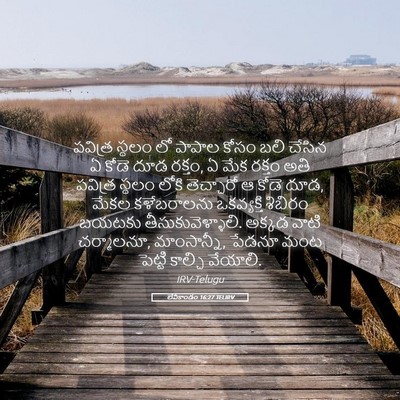 Picture 05 - లేవీకాండం 16:27 TELIRV - పవిత్ర స్థలం లో - Bible Verse Picture