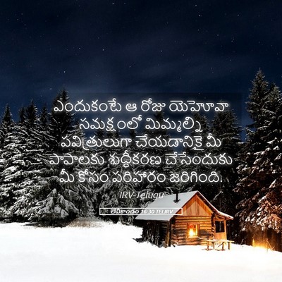 Picture 05 - లేవీకాండం 16:30 TELIRV - ఎందుకంటే ఆ రోజు - Bible Verse Picture