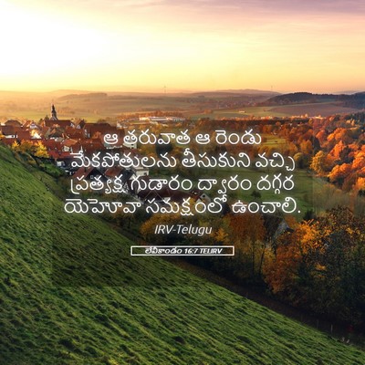 Picture 05 - లేవీకాండం 16:7 TELIRV - ఆ తరువాత ఆ రెండు - Bible Verse Picture