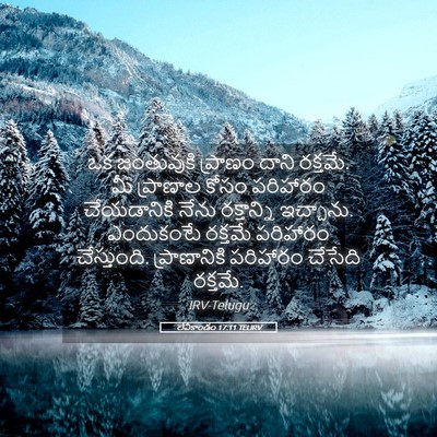Picture 05 - లేవీకాండం 17:11 TELIRV - ఒక జంతువుకి - Bible Verse Picture
