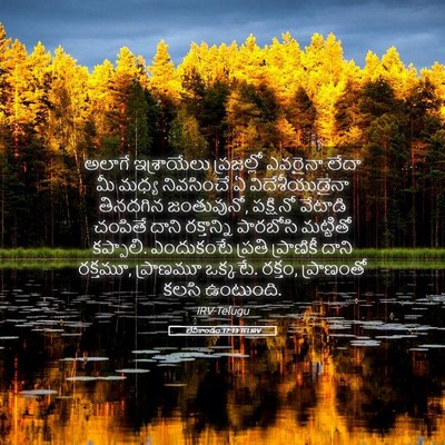 Picture 05 - లేవీకాండం 17:13 TELIRV - అలాగే ఇశ్రాయేలు - Bible Verse Picture