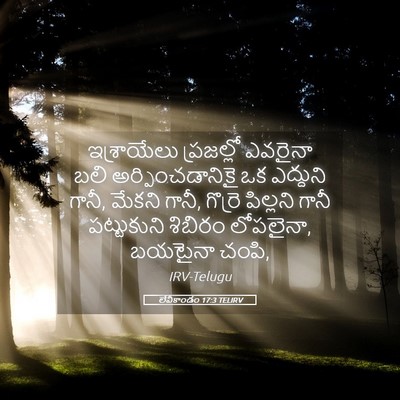 Picture 05 - లేవీకాండం 17:3 TELIRV - ఇశ్రాయేలు - Bible Verse Picture