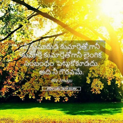 Picture 05 - లేవీకాండం 18:10 TELIRV - నీ కుమారుడి - Bible Verse Picture