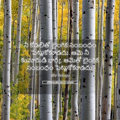 Picture 05 - లేవీకాండం 18:15 TELIRV - నీ కోడలితో లైంగిక - Bible Verse Picture