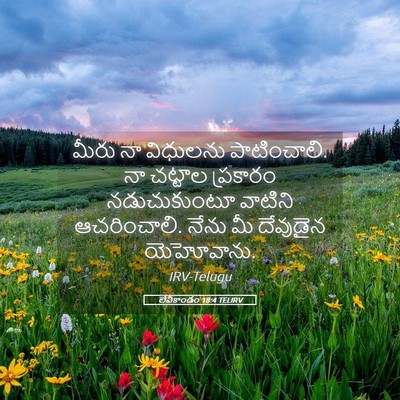 Picture 05 - లేవీకాండం 18:4 TELIRV - మీరు నా విధులను - Bible Verse Picture