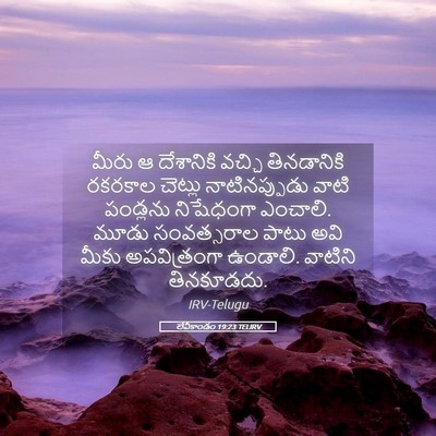 Picture 05 - లేవీకాండం 19:23 TELIRV - మీరు ఆ దేశానికి - Bible Verse Picture