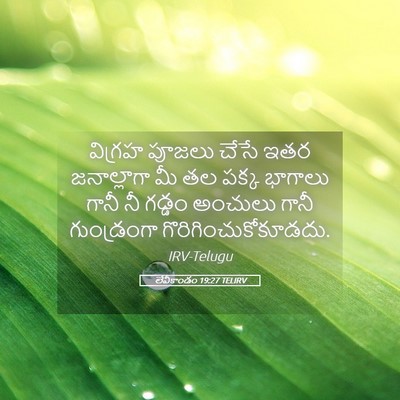 Picture 05 - లేవీకాండం 19:27 TELIRV - విగ్రహ పూజలు చేసే - Bible Verse Picture