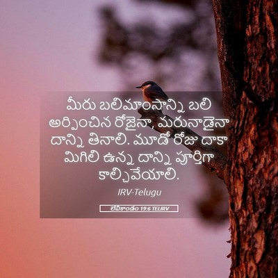 Picture 05 - లేవీకాండం 19:6 TELIRV - మీరు బలిమాంసాన్ని - Bible Verse Picture