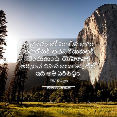 Picture 05 - లేవీకాండం 2:10 TELIRV - ఆ నైవేద్యంలో - Bible Verse Picture