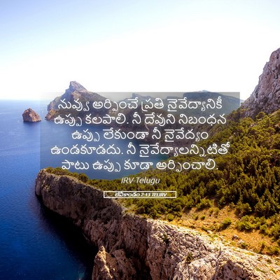 Picture 05 - లేవీకాండం 2:13 TELIRV - నువ్వు అర్పించే - Bible Verse Picture