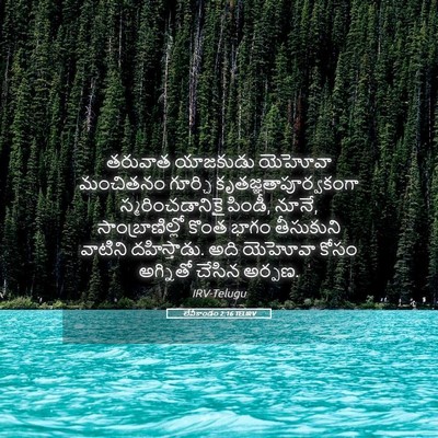Picture 05 - లేవీకాండం 2:16 TELIRV - తరువాత యాజకుడు - Bible Verse Picture