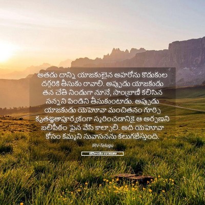 Picture 05 - లేవీకాండం 2:2 TELIRV - అతడు దాన్ని - Bible Verse Picture