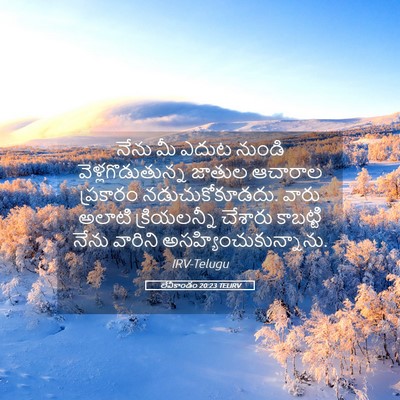 Picture 05 - లేవీకాండం 20:23 TELIRV - నేను మీ ఎదుట నుండి - Bible Verse Picture