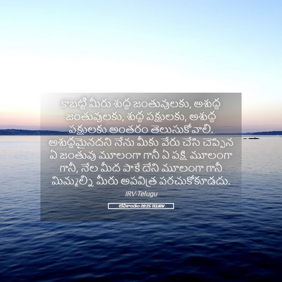 Picture 05 - లేవీకాండం 20:25 TELIRV - కాబట్టి మీరు - Bible Verse Picture