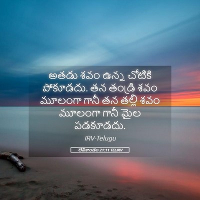 Picture 05 - లేవీకాండం 21:11 TELIRV - అతడు శవం ఉన్న - Bible Verse Picture