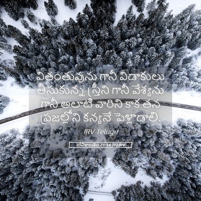 Picture 05 - లేవీకాండం 21:14 TELIRV - వితంతువును గానీ - Bible Verse Picture