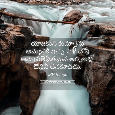 Picture 05 - లేవీకాండం 22:12 TELIRV - యాజకుని - Bible Verse Picture