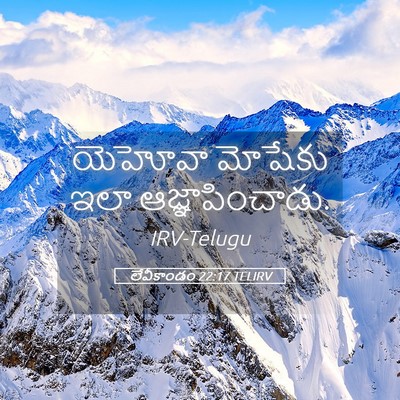 Picture 05 - లేవీకాండం 22:17 TELIRV - యెహోవా మోషేకు ఇలా - Bible Verse Picture