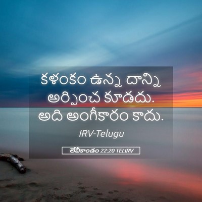 Picture 05 - లేవీకాండం 22:20 TELIRV - కళంకం ఉన్న దాన్ని - Bible Verse Picture