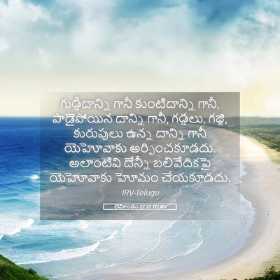 Picture 05 - లేవీకాండం 22:22 TELIRV - గుడ్డిదాన్ని గానీ - Bible Verse Picture