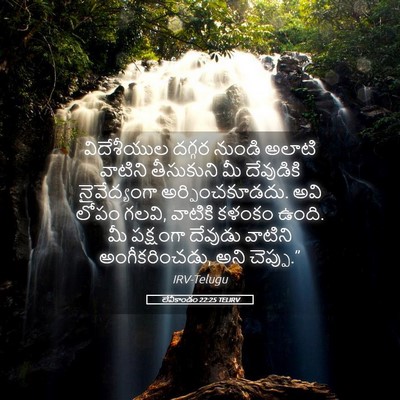 Picture 05 - లేవీకాండం 22:25 TELIRV - విదేశీయుల దగ్గర - Bible Verse Picture