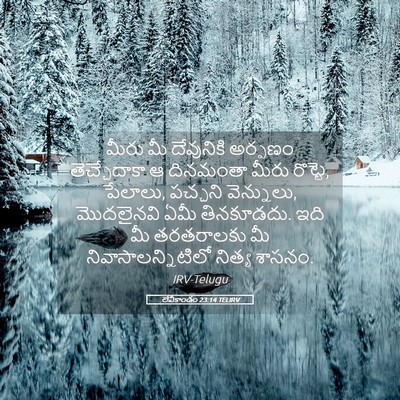 Picture 05 - లేవీకాండం 23:14 TELIRV - మీరు మీ దేవునికి - Bible Verse Picture
