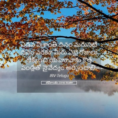 Picture 05 - లేవీకాండం 23:16 TELIRV - ఏడవ విశ్రాంతి - Bible Verse Picture