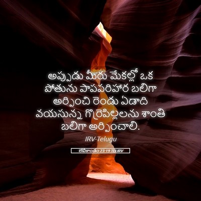 Picture 05 - లేవీకాండం 23:19 TELIRV - అప్పుడు మీరు - Bible Verse Picture