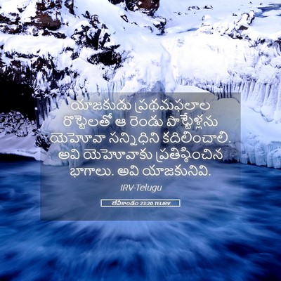 Picture 05 - లేవీకాండం 23:20 TELIRV - యాజకుడు ప్రథమఫలాల - Bible Verse Picture