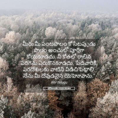Picture 05 - లేవీకాండం 23:22 TELIRV - మీరు మీ పంటపొలం - Bible Verse Picture