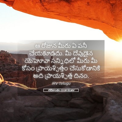 Picture 05 - లేవీకాండం 23:28 TELIRV - ఆ రోజున మీరు ఏ పనీ - Bible Verse Picture