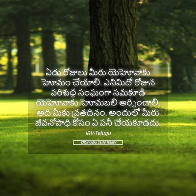 Picture 05 - లేవీకాండం 23:36 TELIRV - ఏడు రోజులు మీరు - Bible Verse Picture
