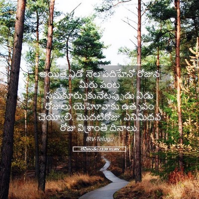 Picture 05 - లేవీకాండం 23:39 TELIRV - అయితే ఏడో నెల - Bible Verse Picture