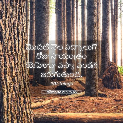 Picture 05 - లేవీకాండం 23:5 TELIRV - మొదటి నెల - Bible Verse Picture