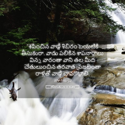 Picture 05 - లేవీకాండం 24:14 TELIRV - “శపించిన వాణ్ణి - Bible Verse Picture