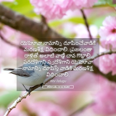 Picture 05 - లేవీకాండం 24:16 TELIRV - యెహోవా నామాన్ని - Bible Verse Picture