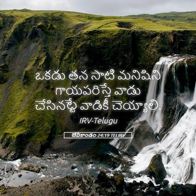Picture 05 - లేవీకాండం 24:19 TELIRV - ఒకడు తన సాటి - Bible Verse Picture