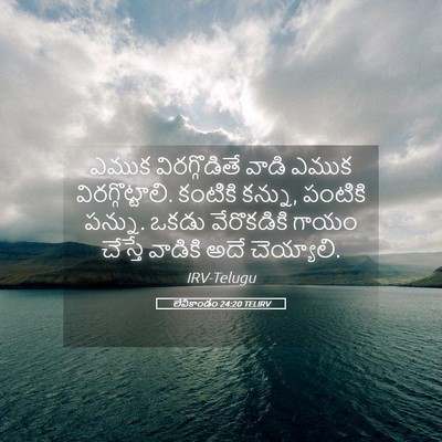 Picture 05 - లేవీకాండం 24:20 TELIRV - ఎముక విరగ్గొడితే - Bible Verse Picture