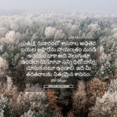 Picture 05 - లేవీకాండం 24:3 TELIRV - ప్రత్యక్ష - Bible Verse Picture