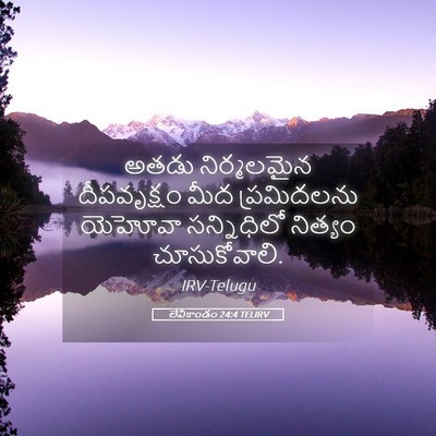 Picture 05 - లేవీకాండం 24:4 TELIRV - అతడు నిర్మలమైన - Bible Verse Picture