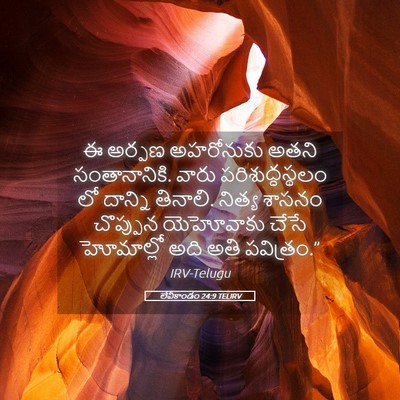 Picture 05 - లేవీకాండం 24:9 TELIRV - ఈ అర్పణ అహరోనుకు - Bible Verse Picture