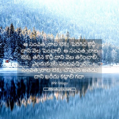 Picture 05 - లేవీకాండం 25:16 TELIRV - ఆ సంవత్సరాల లెక్క - Bible Verse Picture